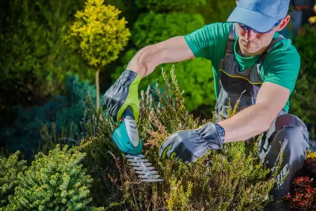landscaping services Glenview